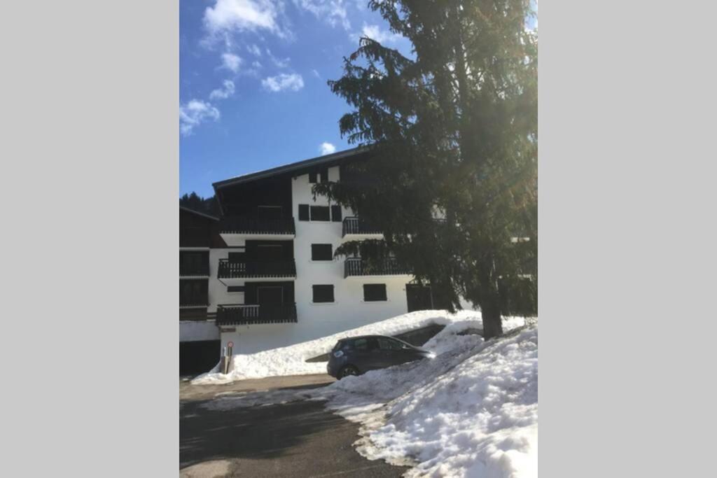 Studio Les Freinets Châtel Екстериор снимка