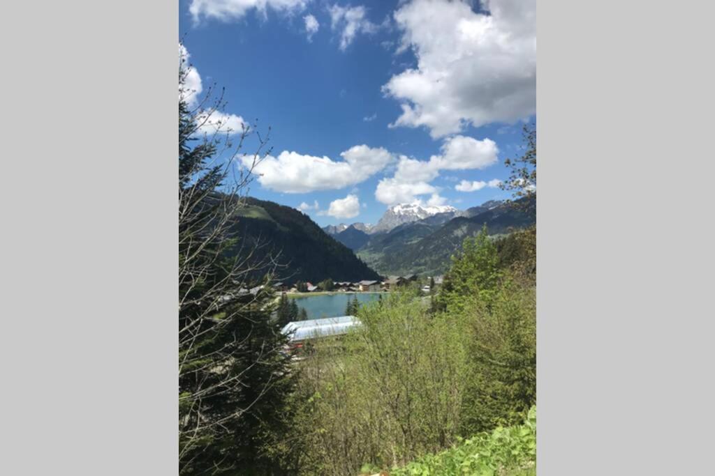Studio Les Freinets Châtel Екстериор снимка